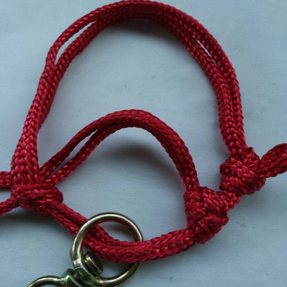 Red easy